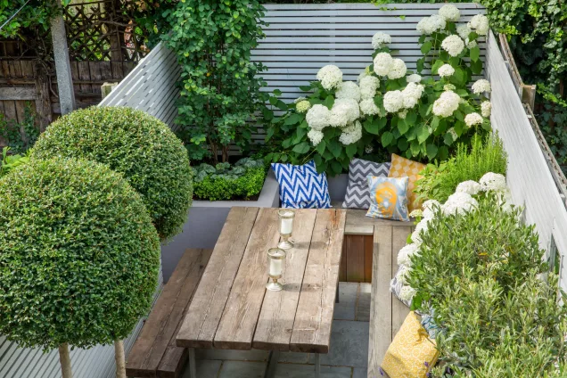 bench seating surrounded by plants
