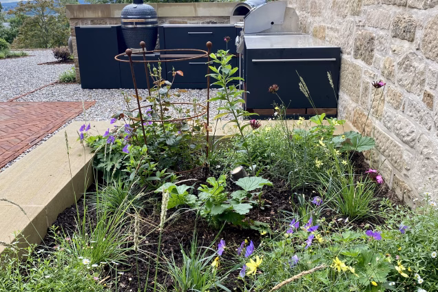 outdoor kitchen with gusto, bull bbq and pizza oven next to planter with green and purple plants and flowers
