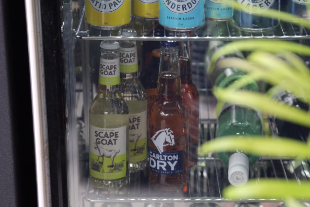 closeup of drinks in double drinks fridge